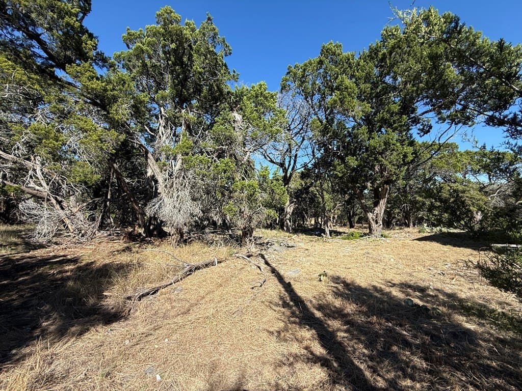 10 acres in Gillespie County - photo 10