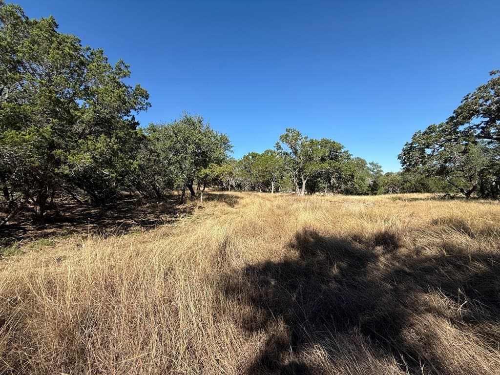 10 acres in Gillespie County - photo 2