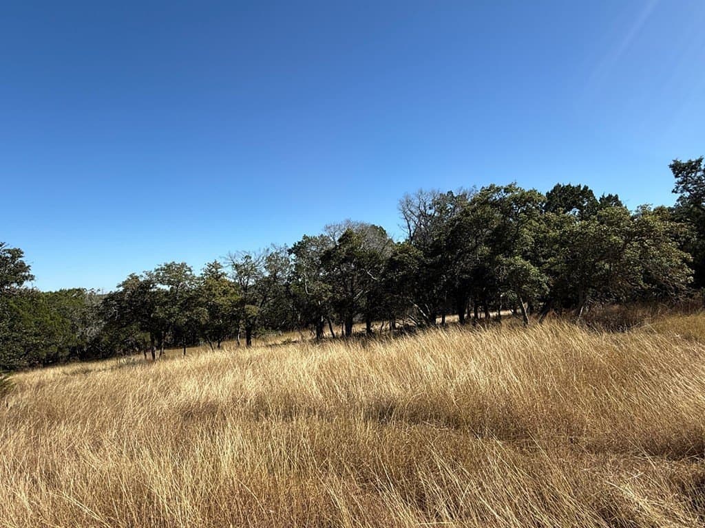 10 acres in Gillespie County - photo 4
