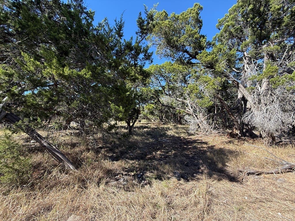 10 acres in Gillespie County - photo 9