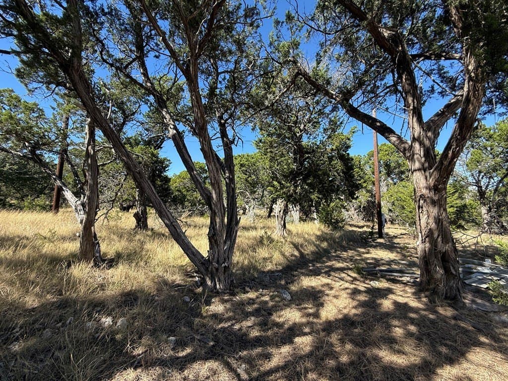 10 acres in Gillespie County - photo 8