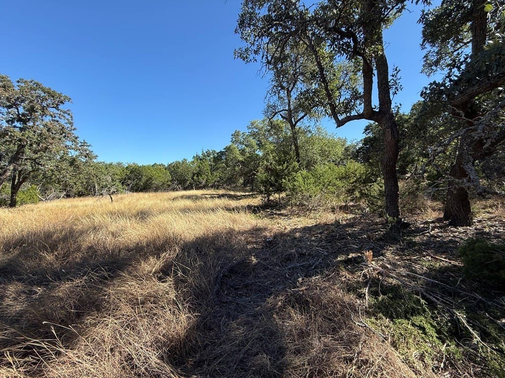 10 acres in Gillespie County - photo 3