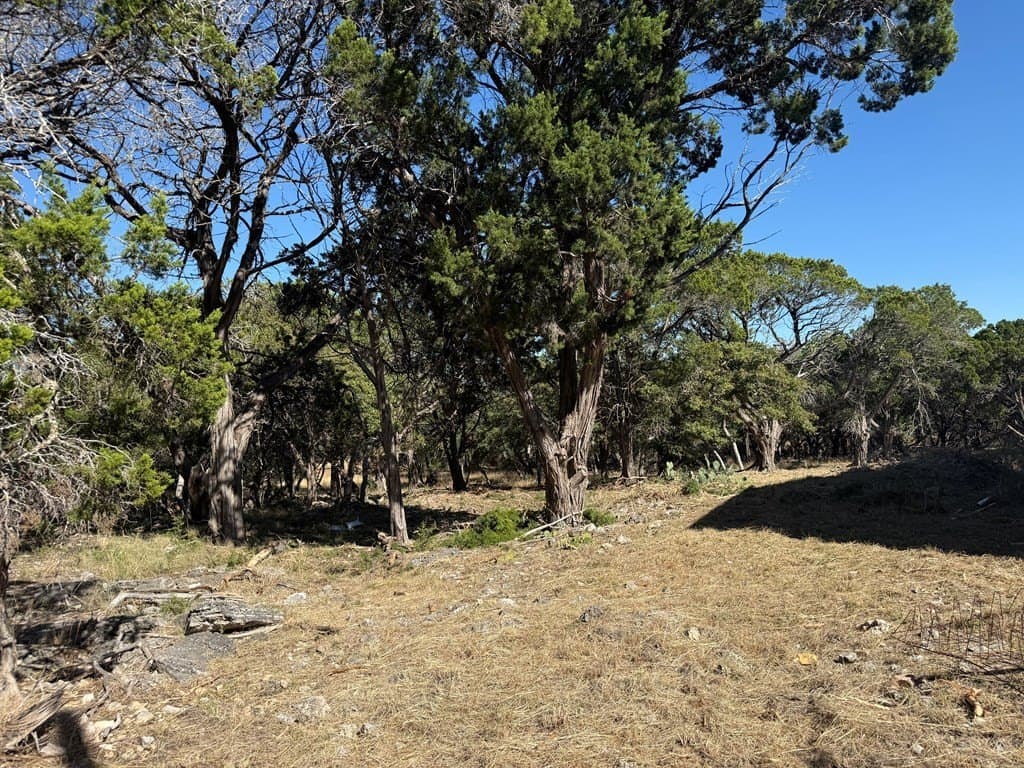 10 acres in Gillespie County - photo 11