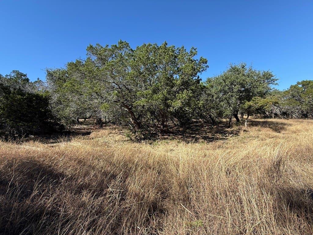 10 acres in Gillespie County - photo 6