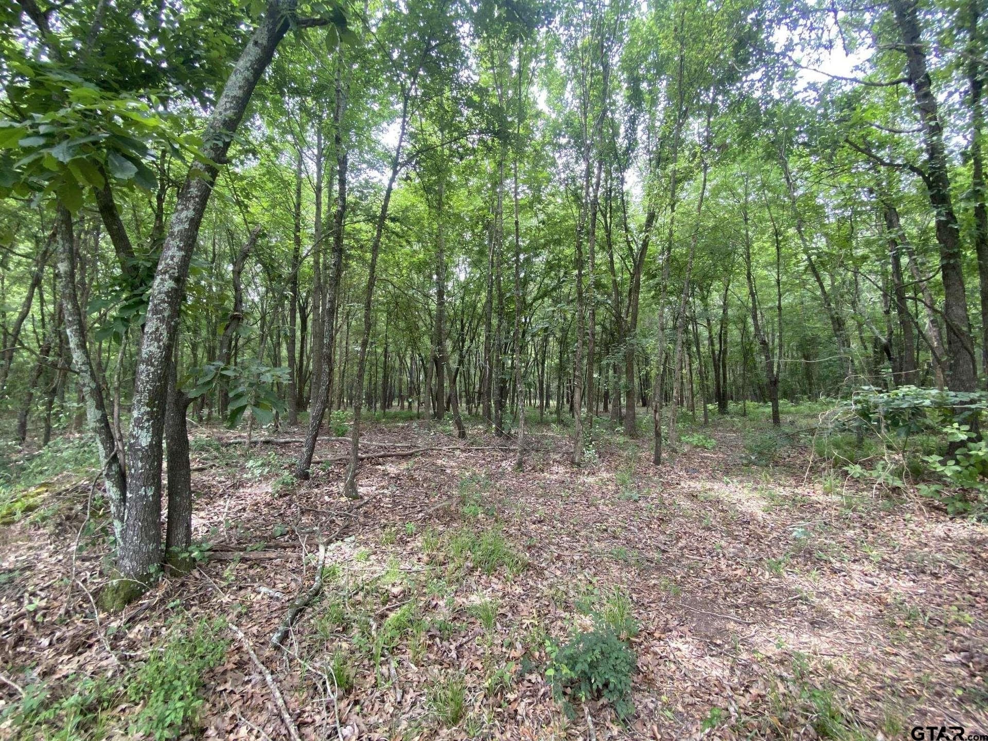 8.52 acres in Titus County