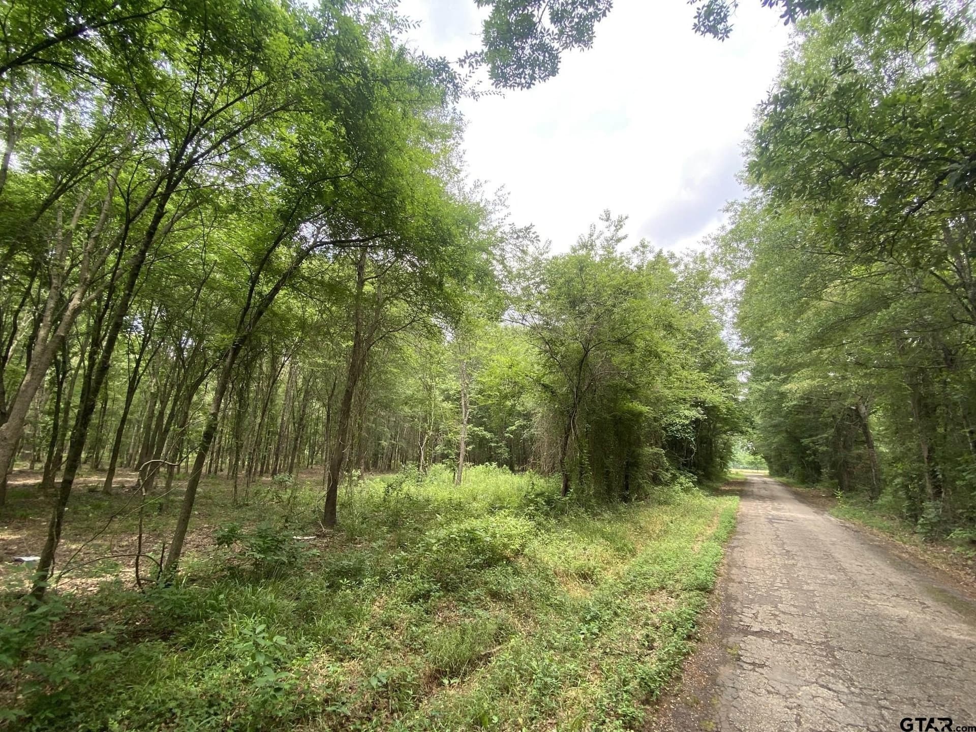 8.52 acres in Titus County gallery image 4