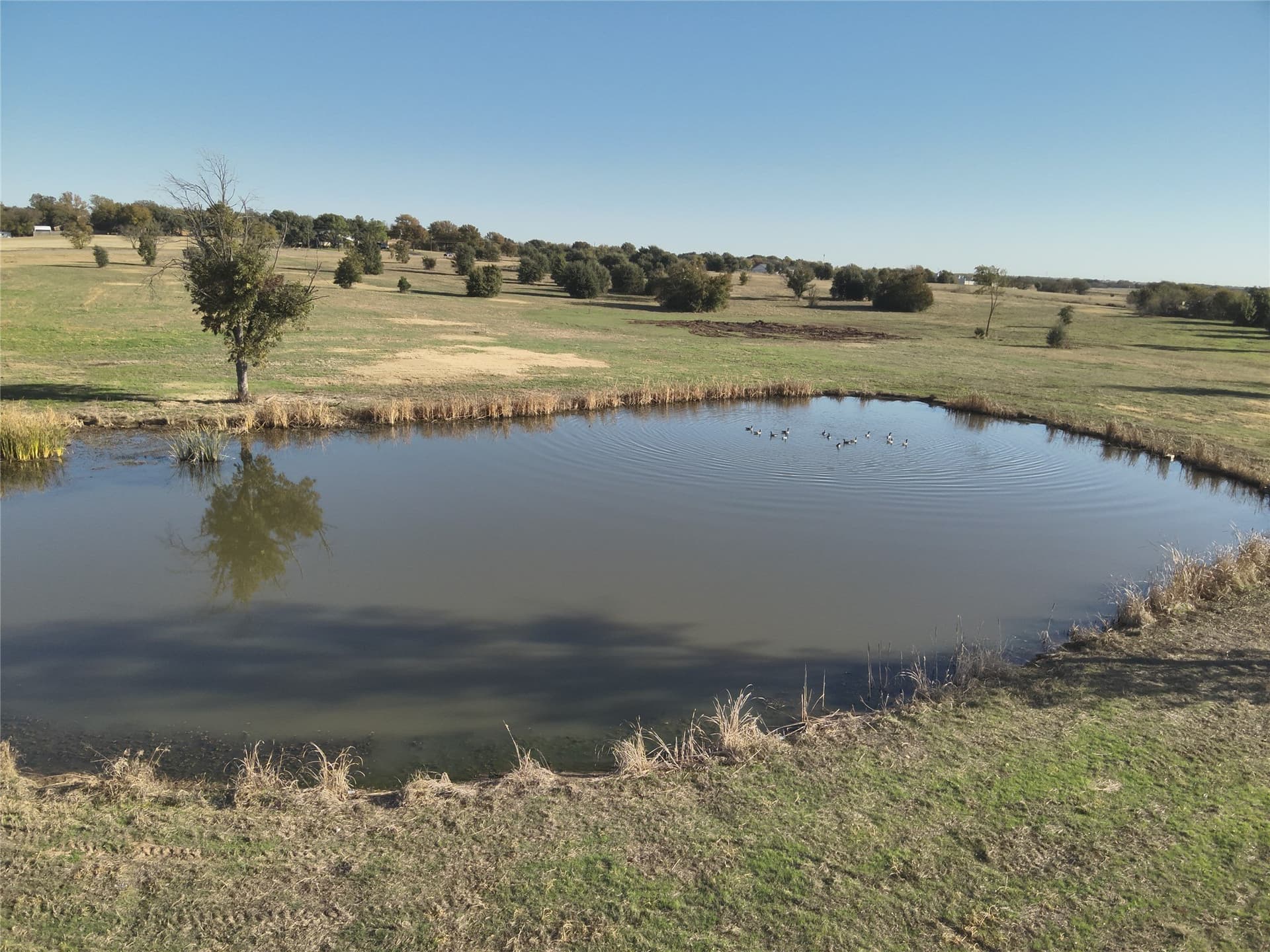 4.28 acres in Clay County featured view