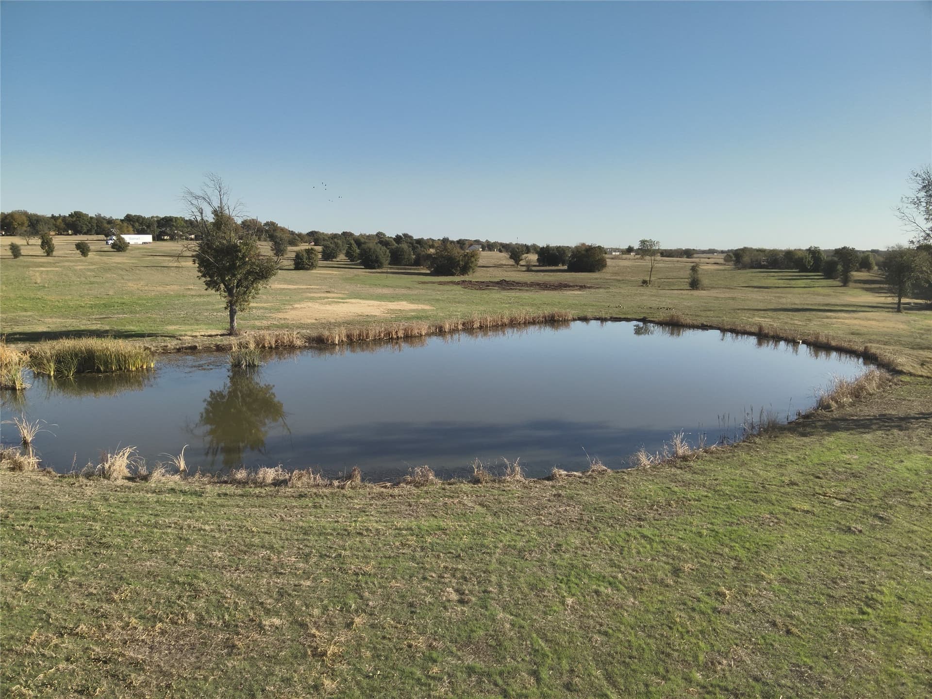 4.28 acres in Clay County gallery image 4
