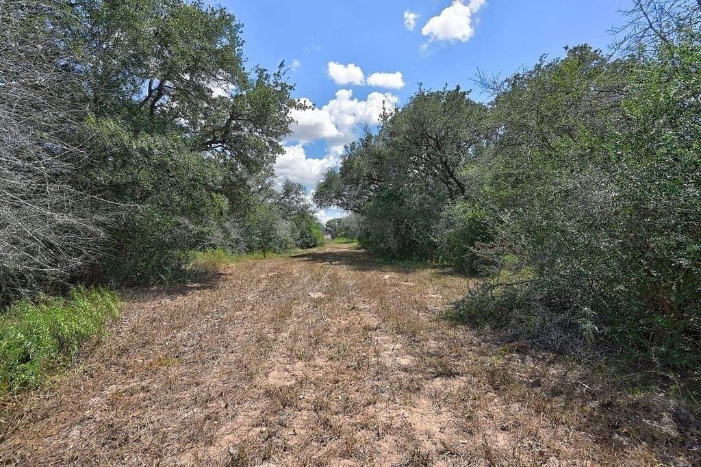 5 acres in Colorado County - photo 19