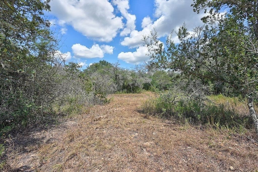 5 acres in Colorado County - photo 17