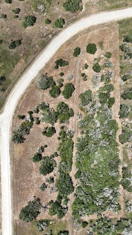 5 acres in Colorado County - photo 16