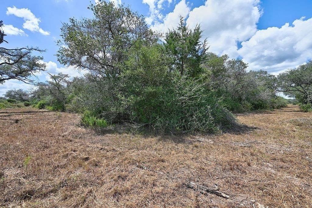 5 acres in Colorado County - photo 25