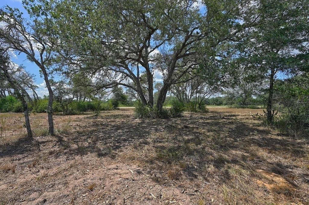 5 acres in Colorado County - photo 28