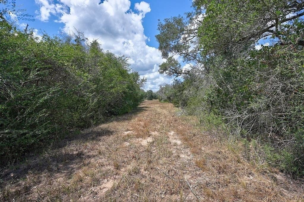5 acres in Colorado County - photo 18
