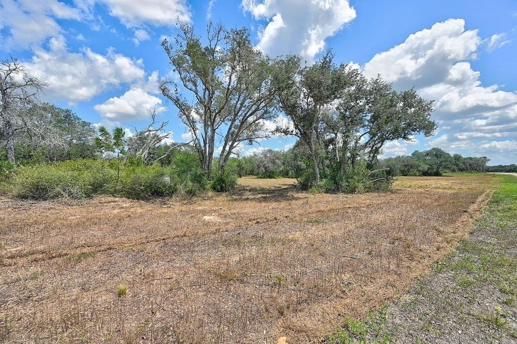 5 acres in Colorado County - photo 22