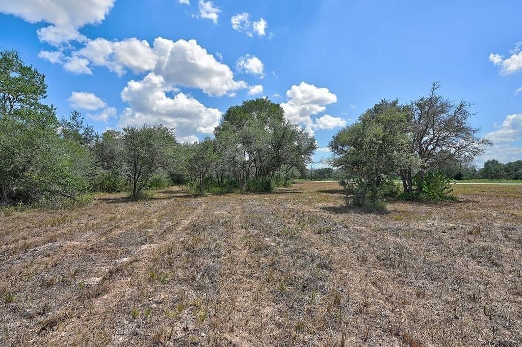 5 acres in Colorado County - photo 29