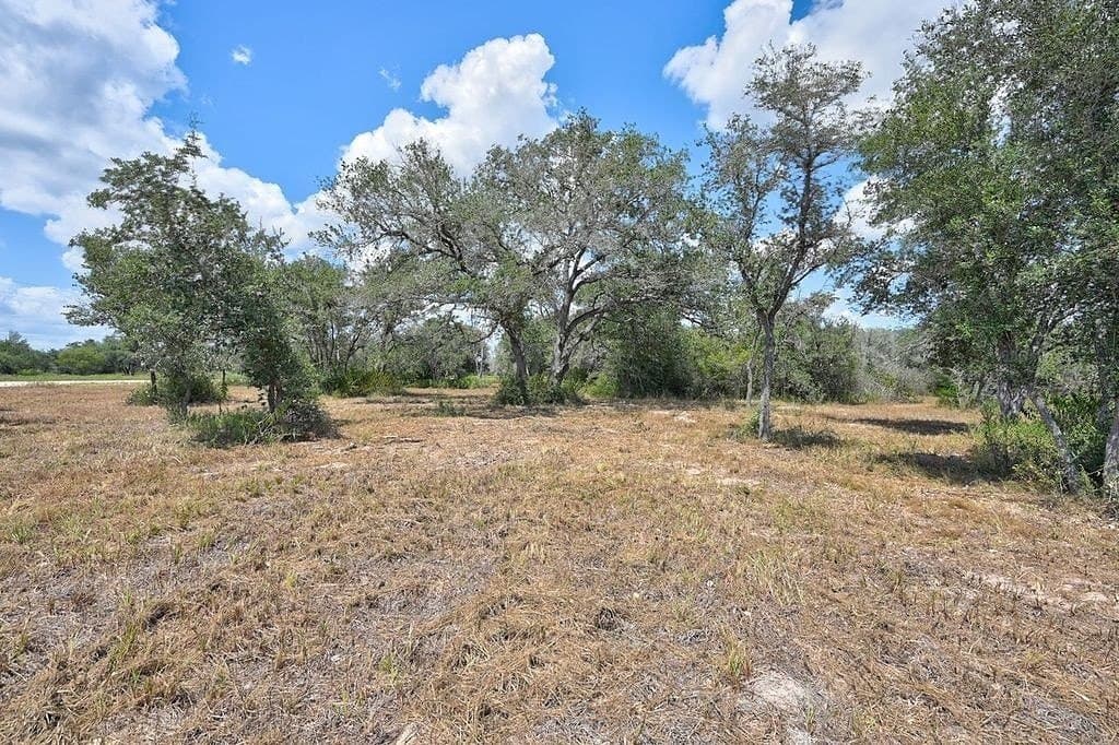 5 acres in Colorado County - photo 27