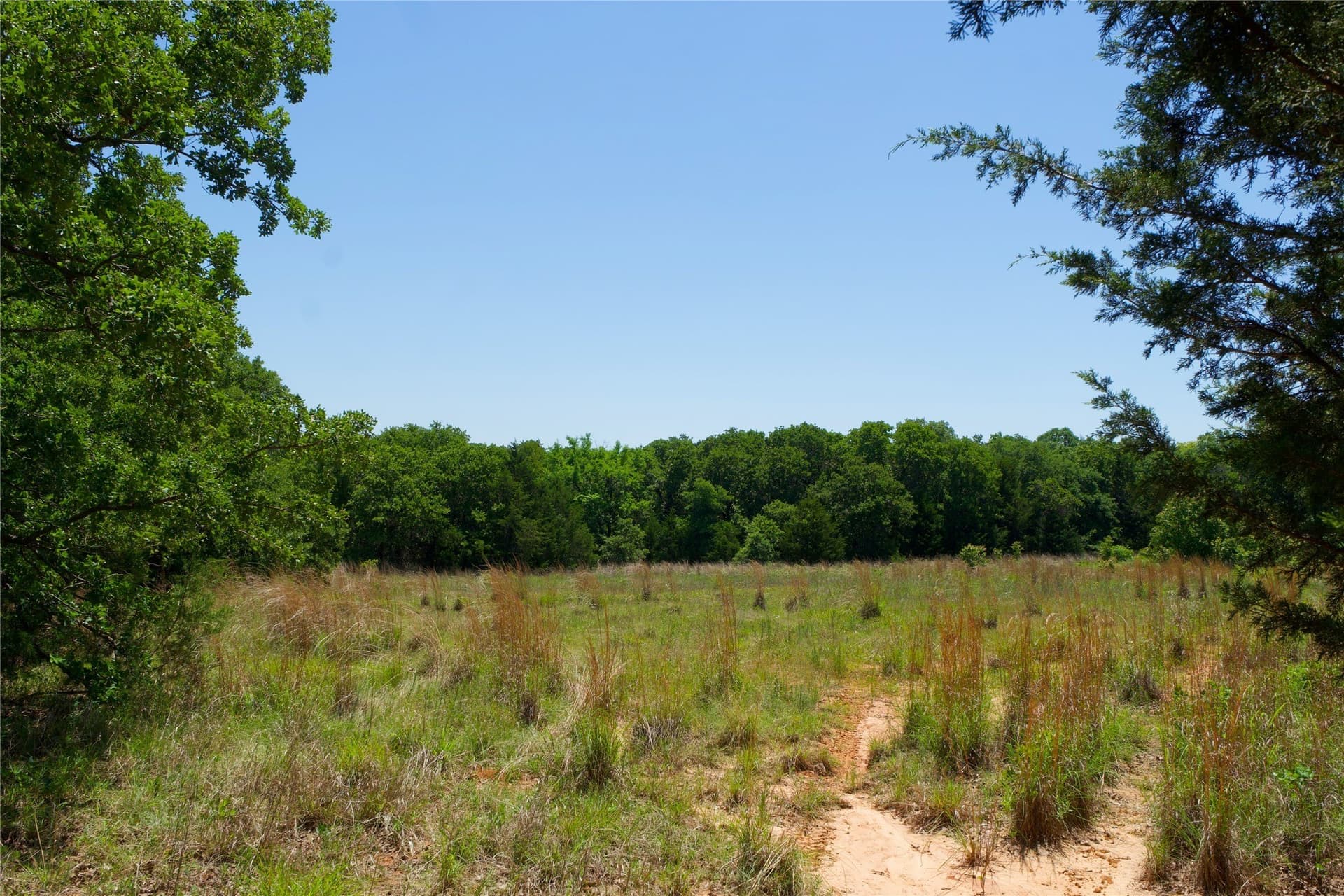 35.64 acres in Cooke County - photo 24