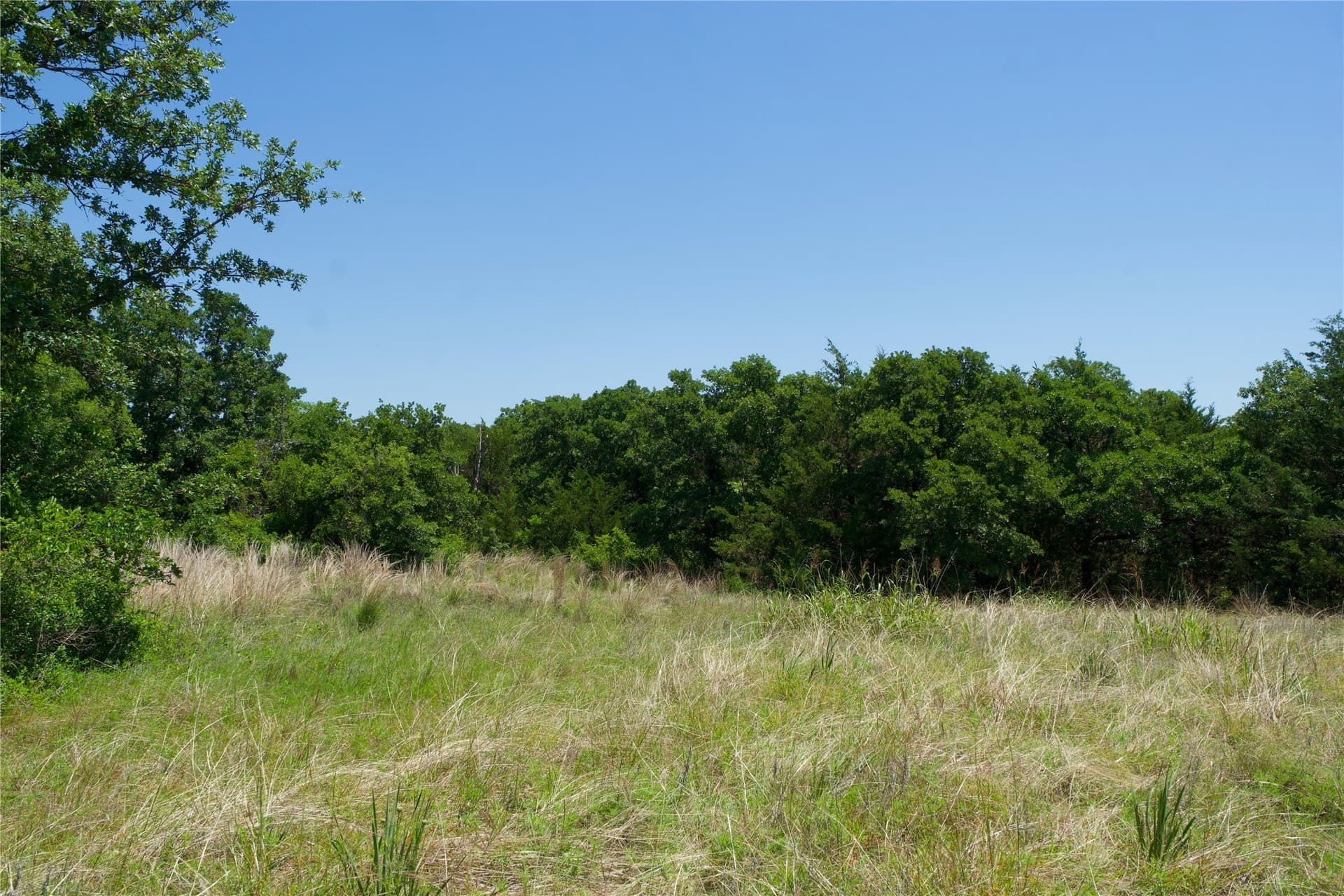 35.64 acres in Cooke County - photo 21