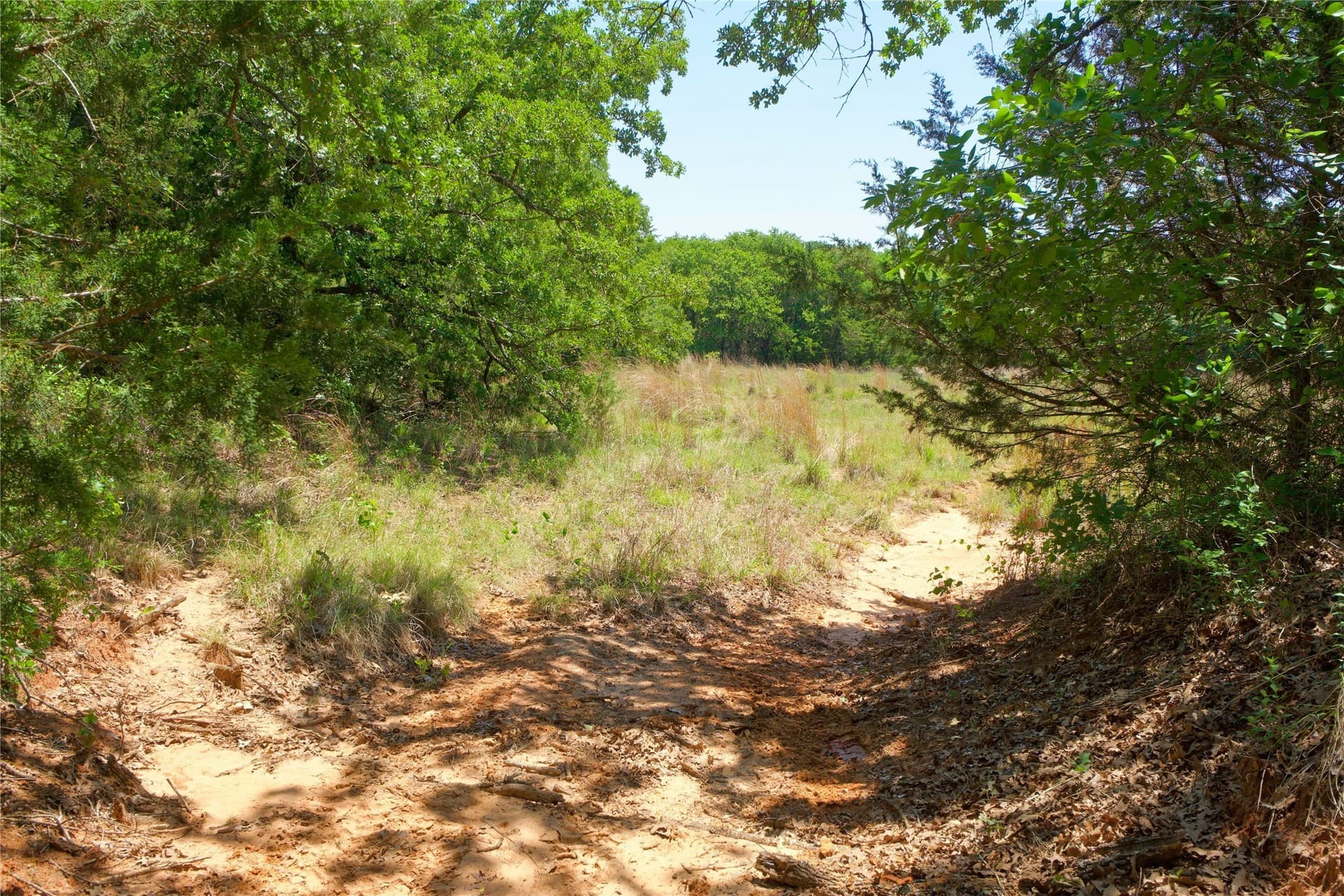 35.64 acres in Cooke County - photo 23