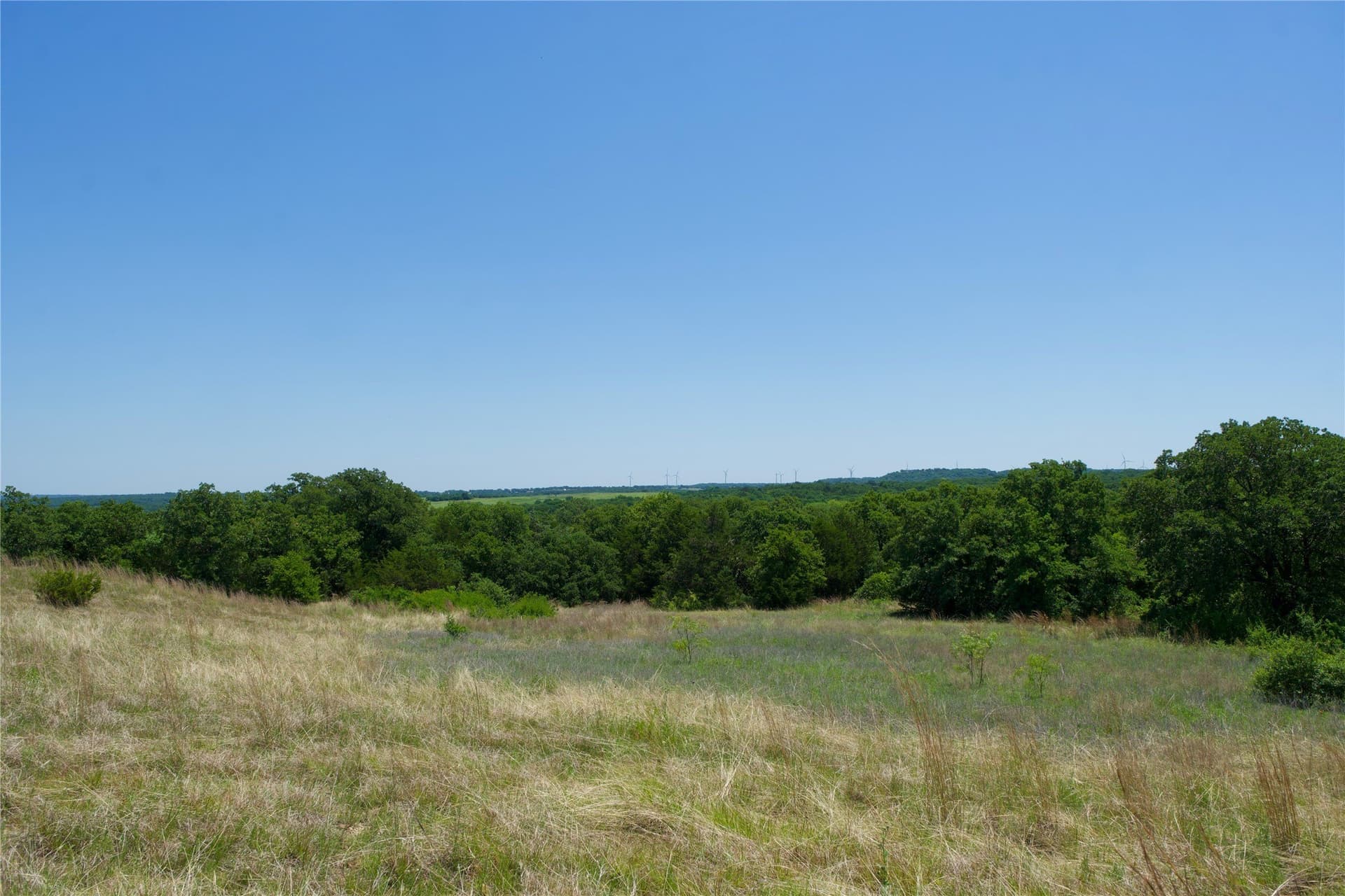 35.64 acres in Cooke County - photo 26