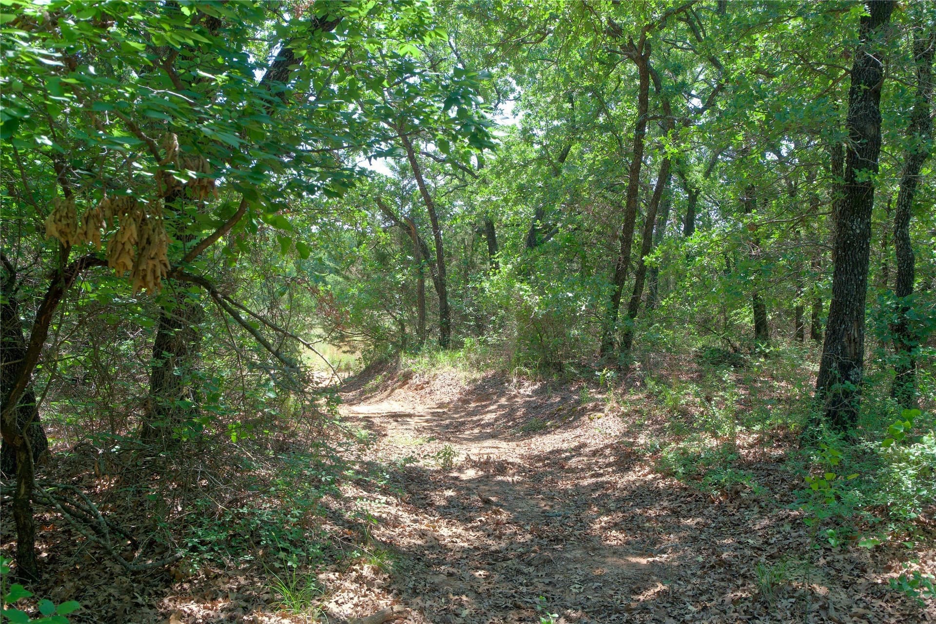 35.64 acres in Cooke County - photo 22