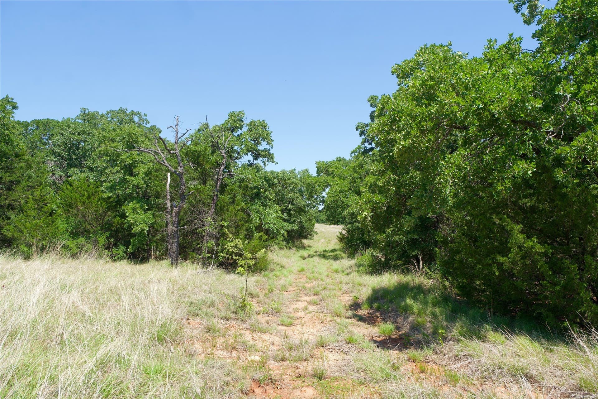 35.64 acres in Cooke County - photo 28