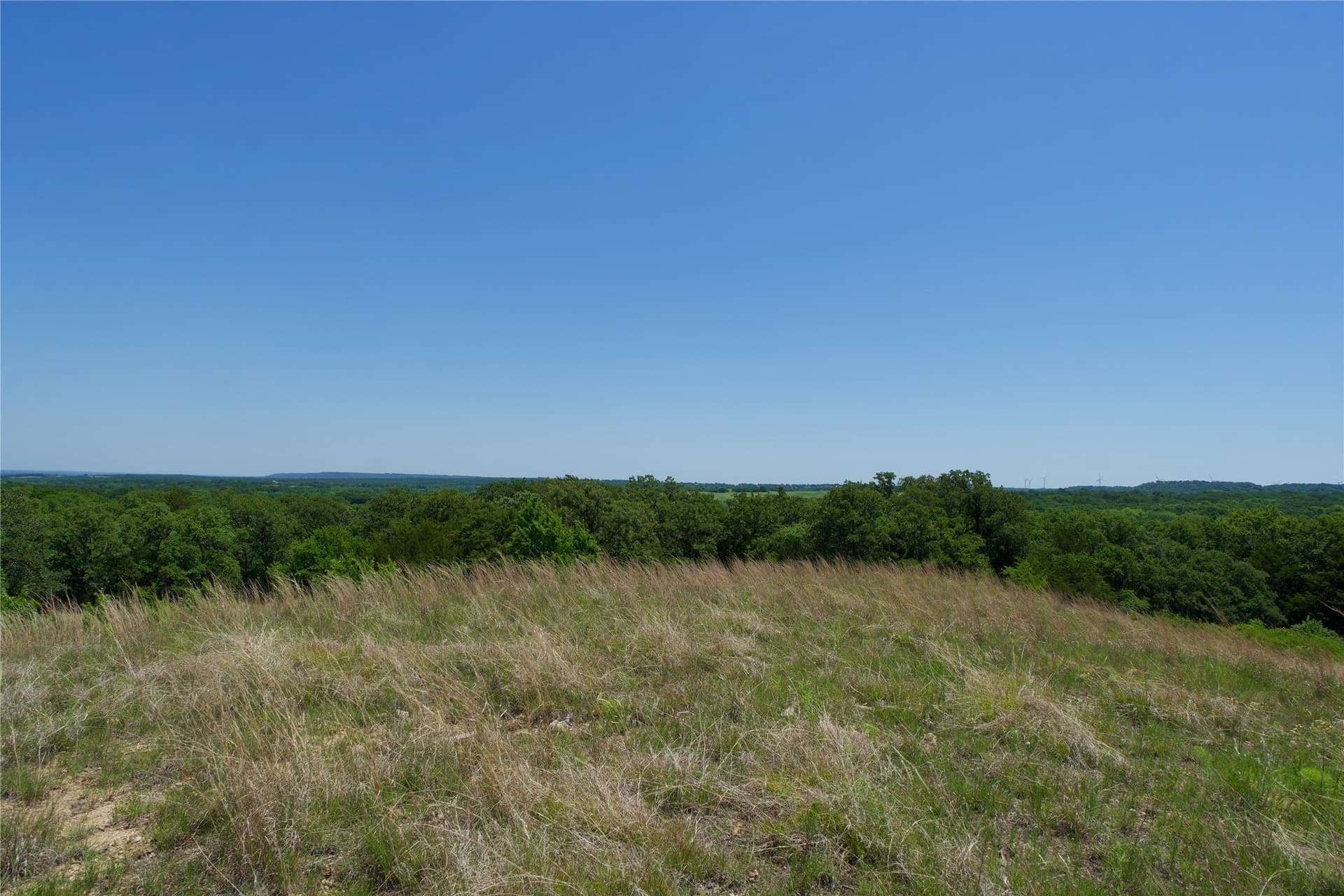 35.64 acres in Cooke County