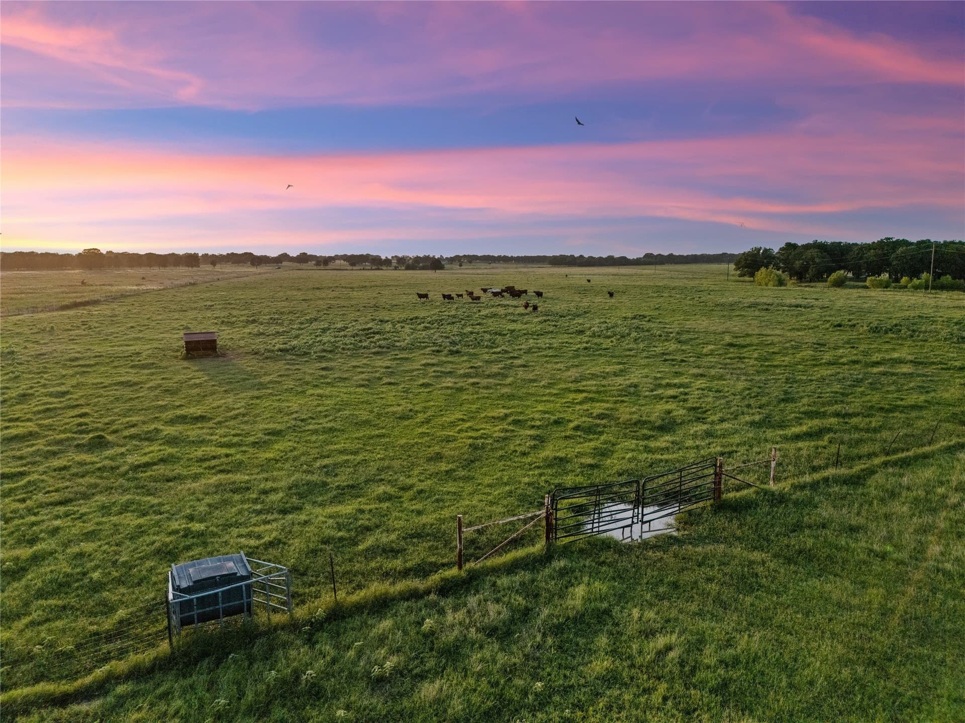 38.52 acres in McLennan County - photo 11