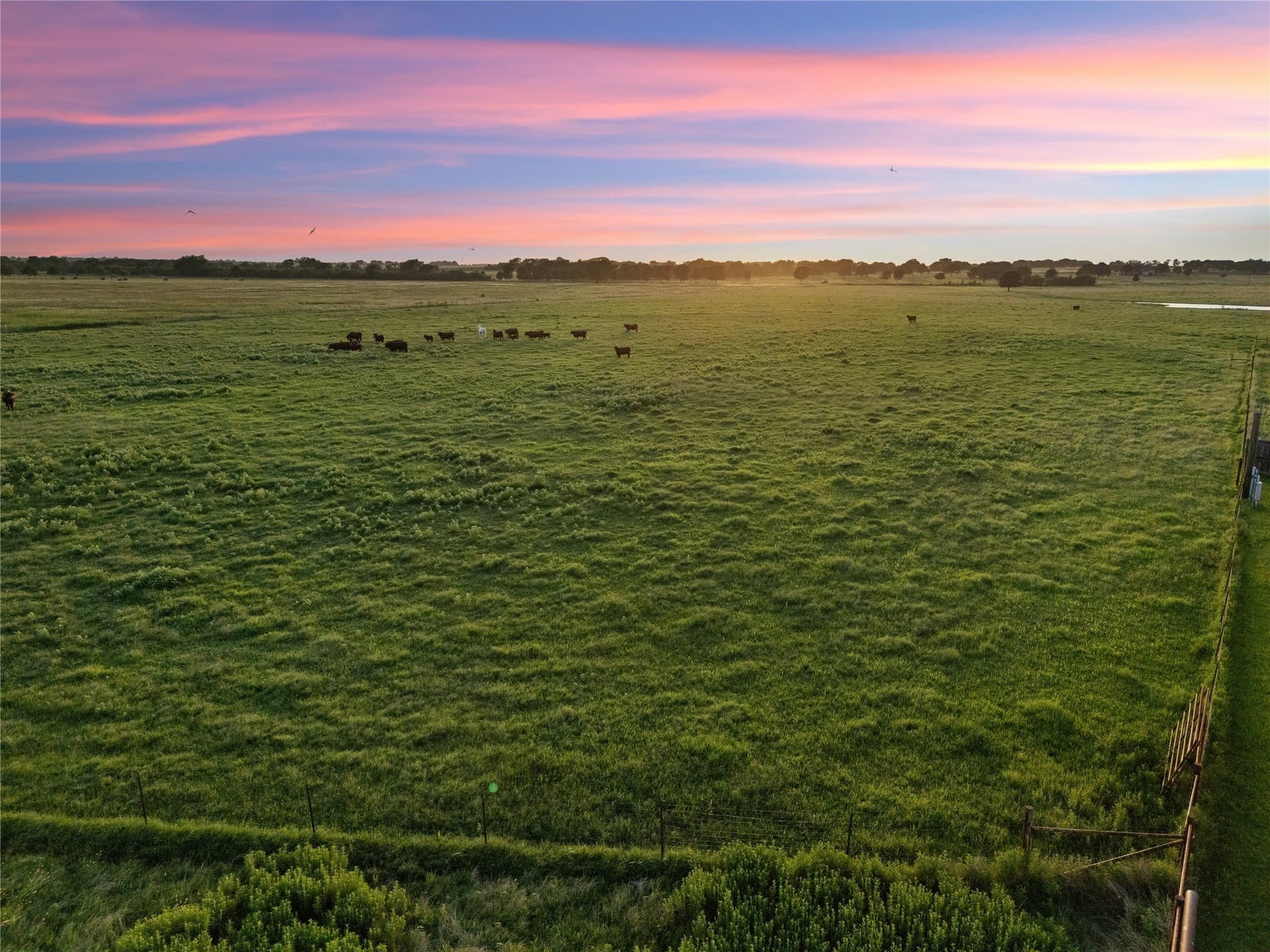 38.52 acres in McLennan County - photo 12