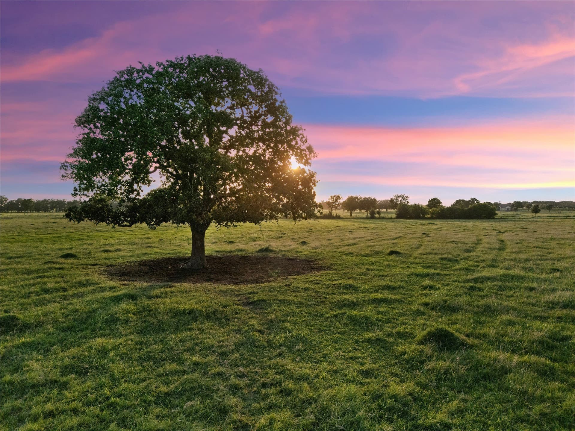 38.52 acres in McLennan County
