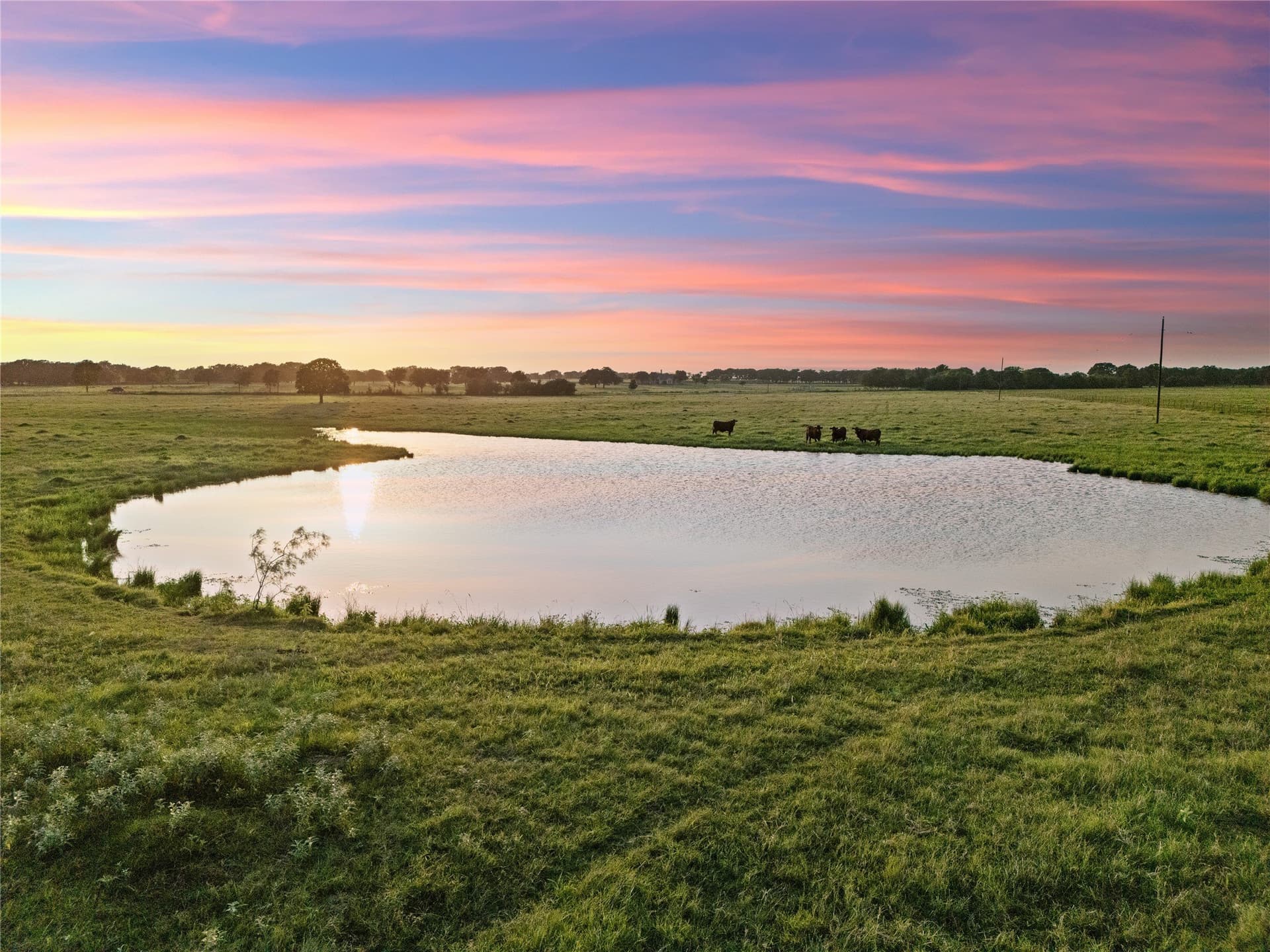 38.52 acres in McLennan County - photo 4