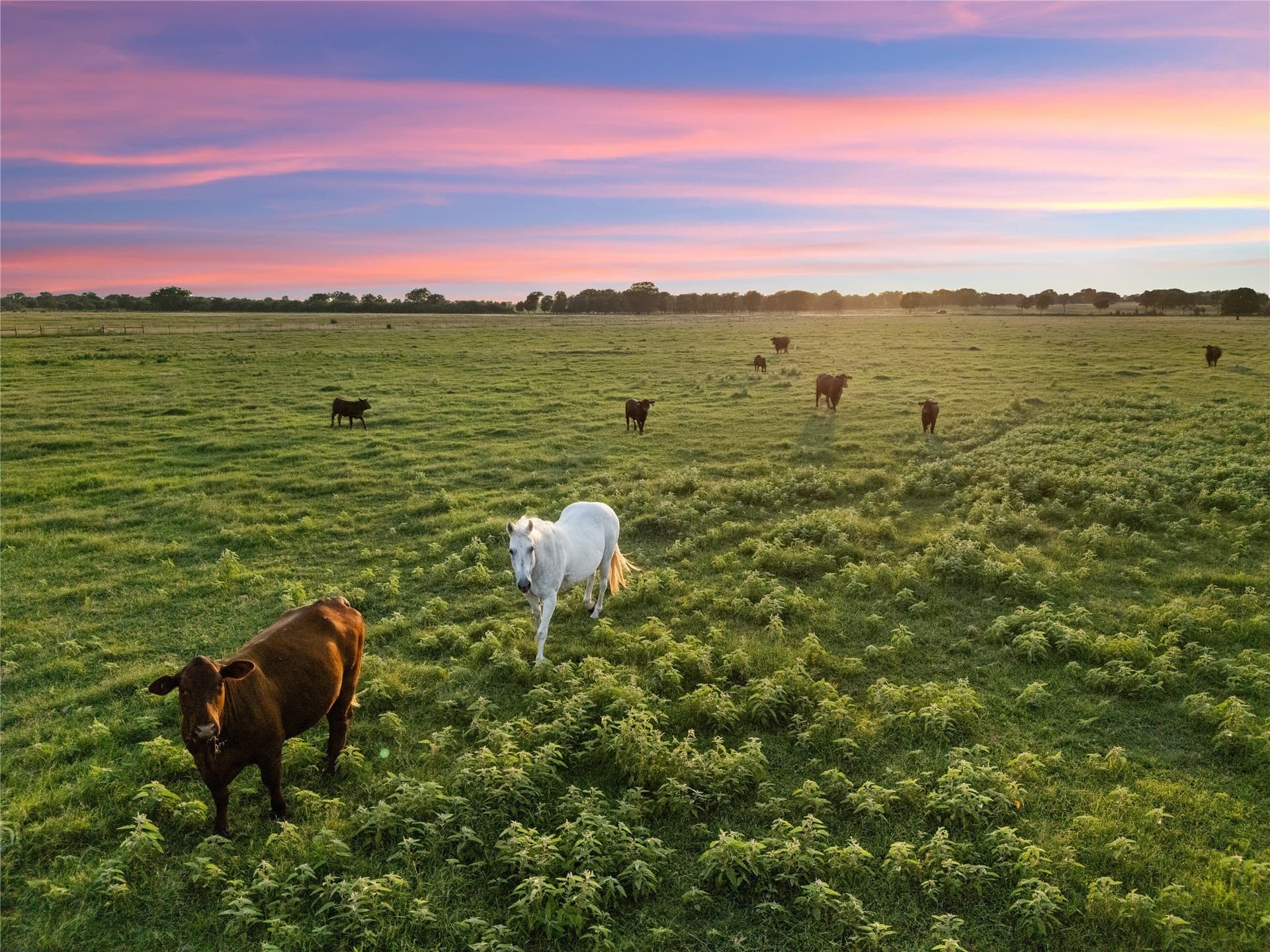 38.52 acres in McLennan County - photo 5