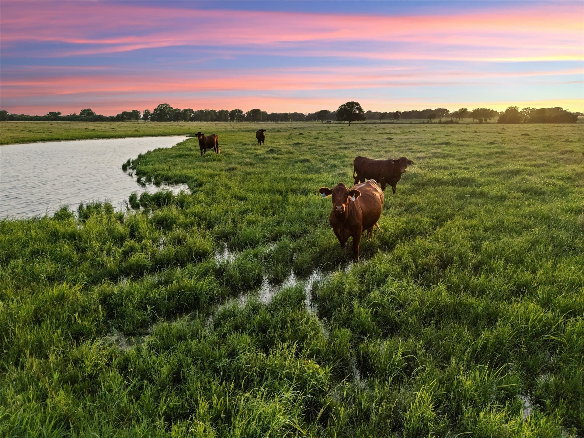 38.52 acres in McLennan County - photo 8