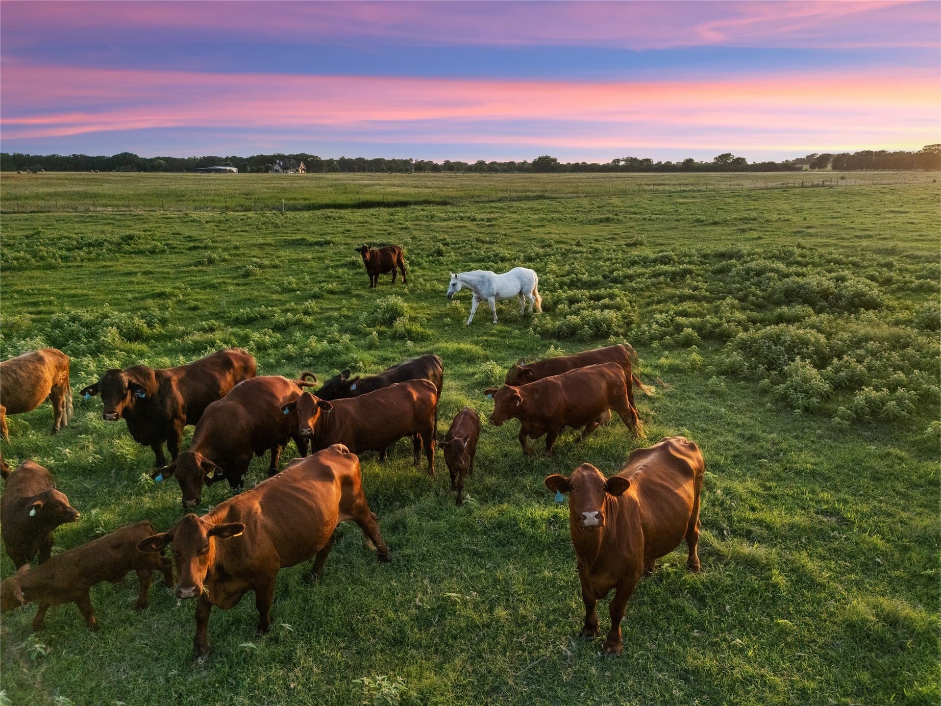 38.52 acres in McLennan County - photo 3