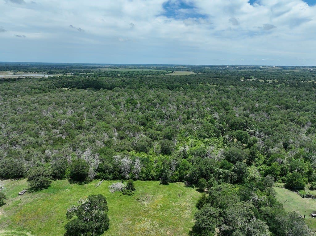 40 acres in Fayette County gallery image 3