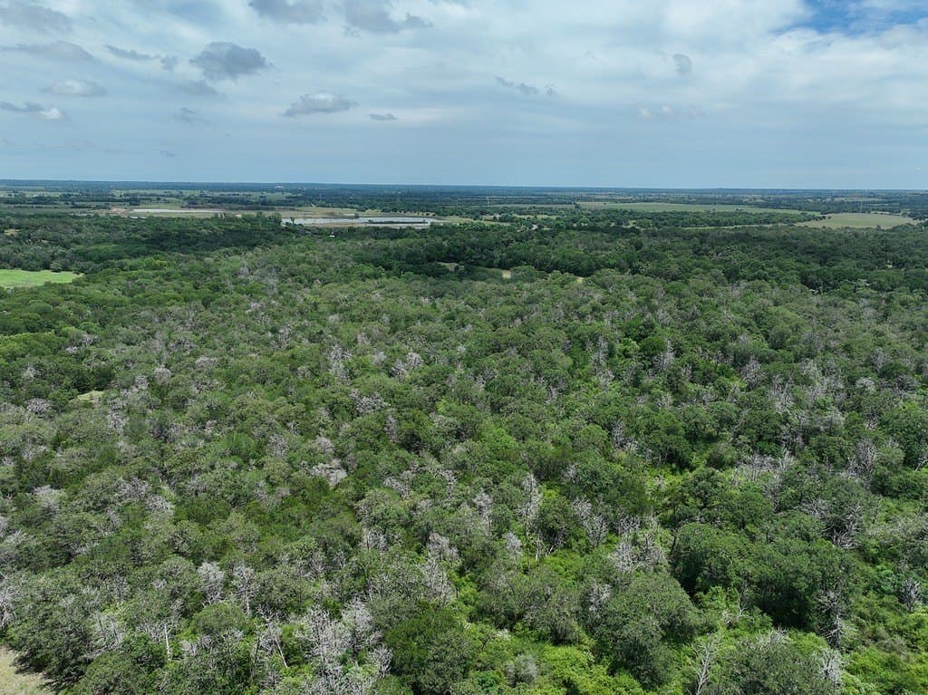 40 acres in Fayette County gallery image 2