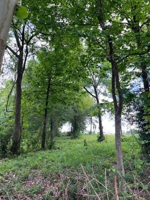 6 acres in Texas County - photo 7