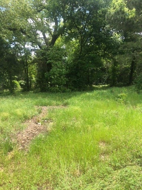 6 acres in Texas County featured view