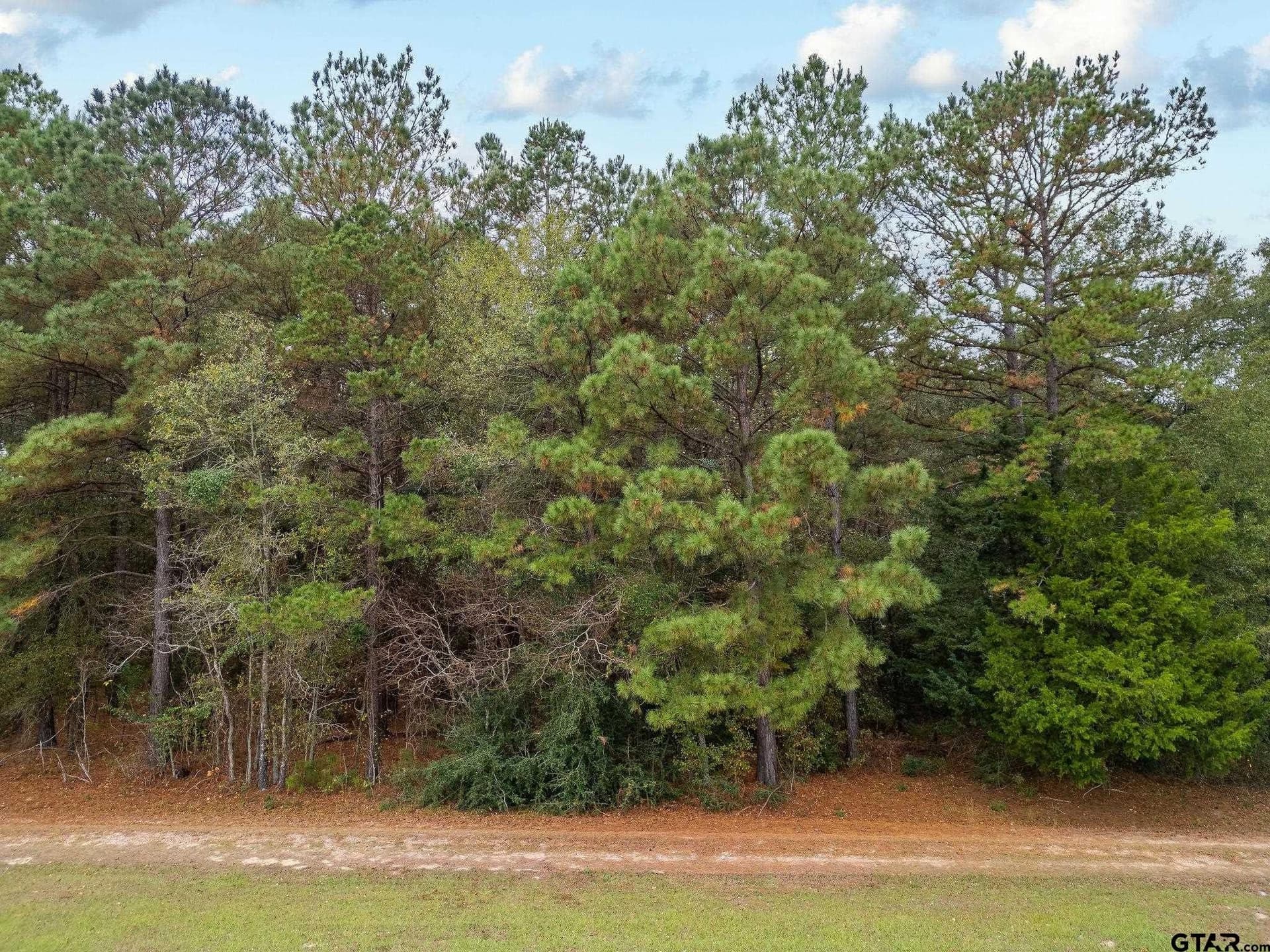 16.88 acres in Upshur County gallery image 2