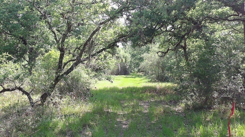 11 acres in Lavaca County featured view