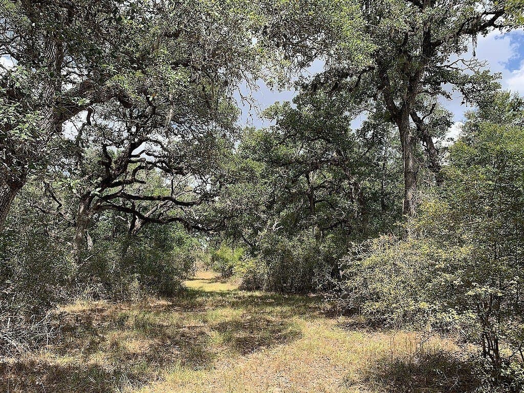 11 acres in Lavaca County