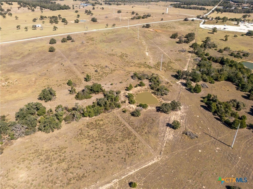 20 acres in Milam County gallery image 3