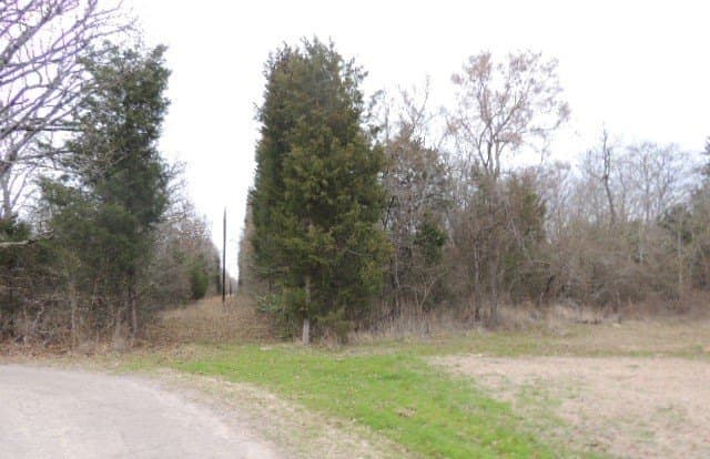 25 acres in Rains County - photo 3