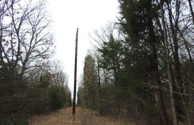 25 acres in Rains County - photo 2