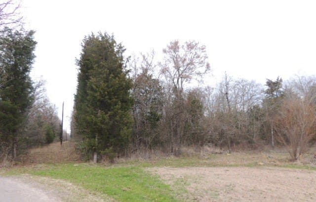 25 acres in Rains County - photo 4