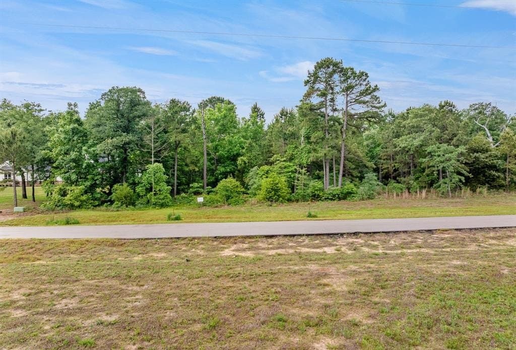 2.62 acres in Henderson County gallery image 3