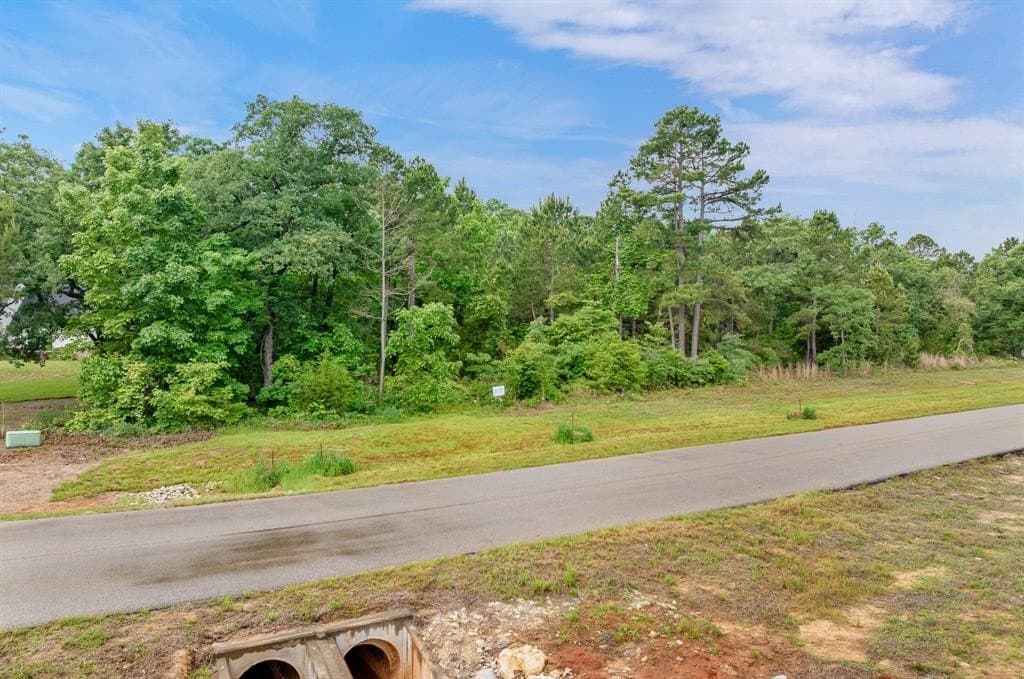 2.62 acres in Henderson County gallery image 4