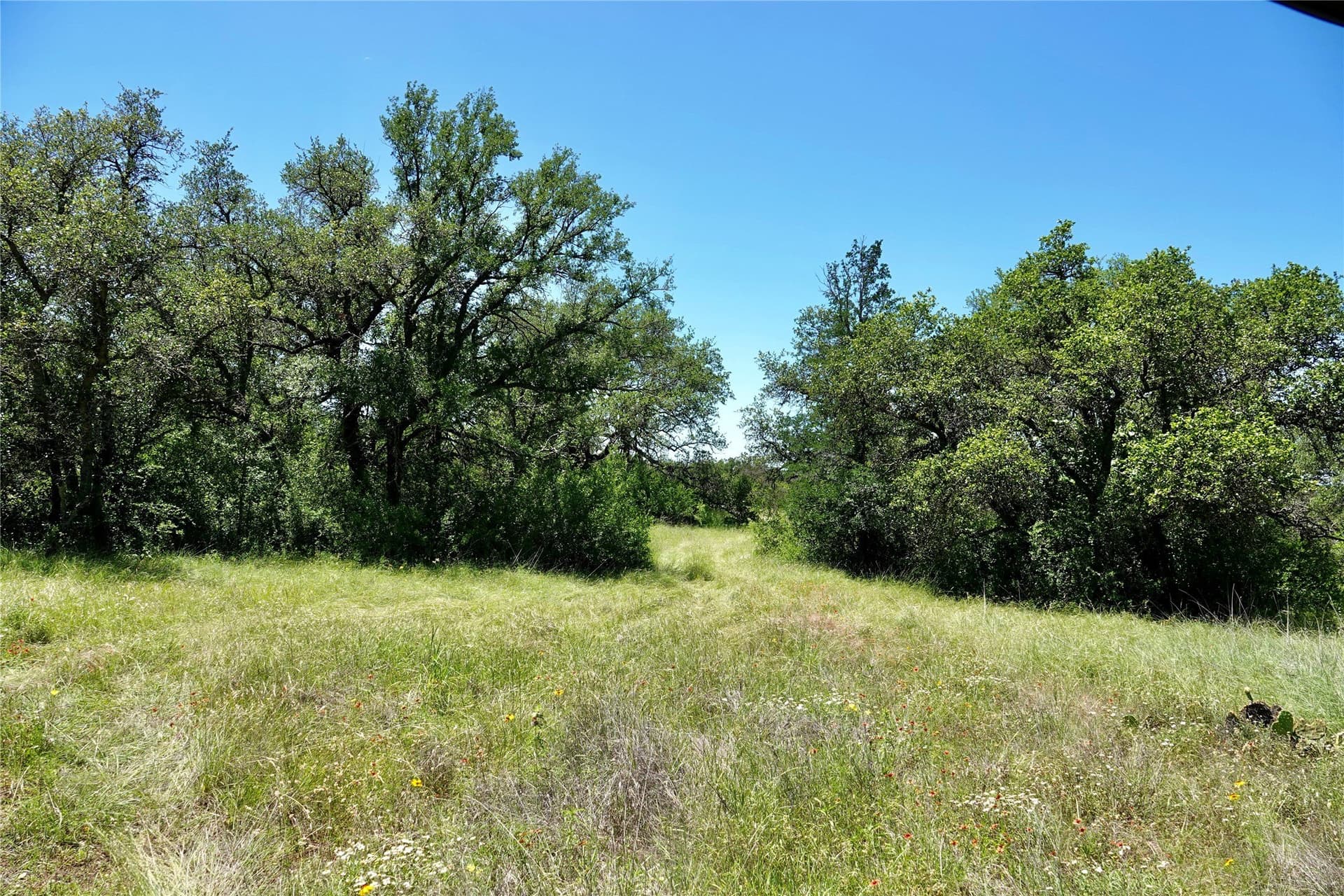 130 acres in Mills County - photo 12