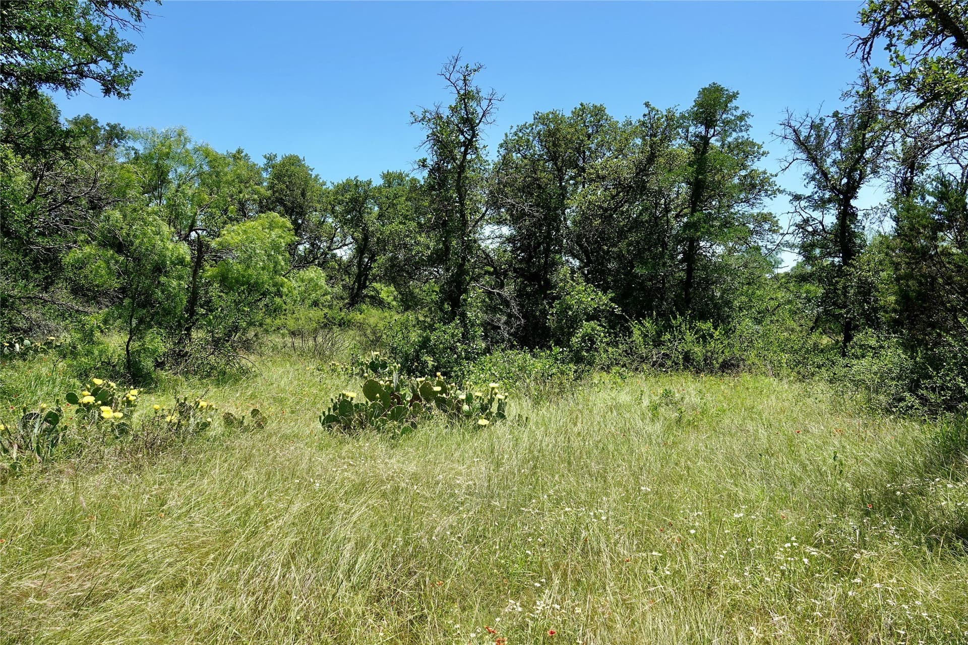 130 acres in Mills County - photo 15